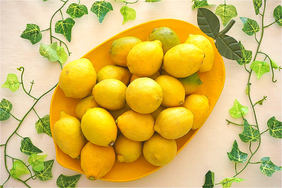 東京都小平市 イタリア料理教室 特別栽培のレモンが届きました 国産マイヤーレモン 減農薬レモン レモン胡椒レッスン ご予約受付中 マクロ美イタリアン イタリア料理教室 Il Fiore 東京都小平市 イタリア料理教室 特別栽培のレモンが届きました 国産マイヤーレモン 減農薬レモン レモン胡椒レッスン ご予約受付中 マクロ美イタリアン イタリア料理教室 Il Fiore